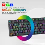 Cosmic Byte CB-GK-16 Firefly TKL RGB Mechanical Keyboard (Blue Switch) - Image 3